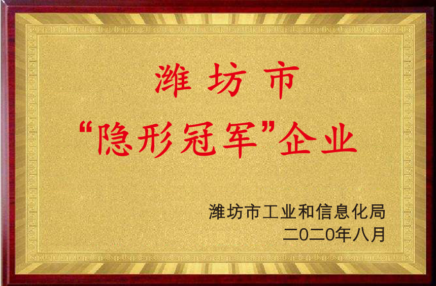 2020年濰坊市隱形冠軍企業(yè)